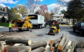 Best Storm Damage Tree Cleanup  in Santa Fe, NM